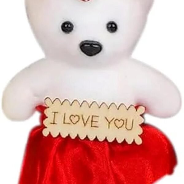 Collectible India Love Romantic Gifts for Girlfriend Boyfriend with Love Teddy Bear