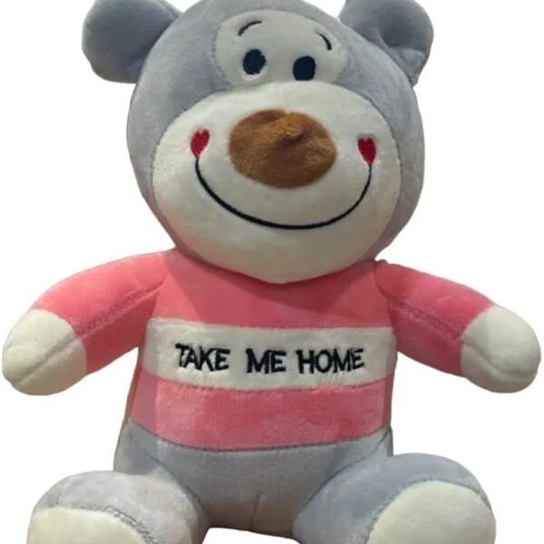 The Gift Soft and Cuddly 25 cm Plush Teddy Bear for Kids & Adults.